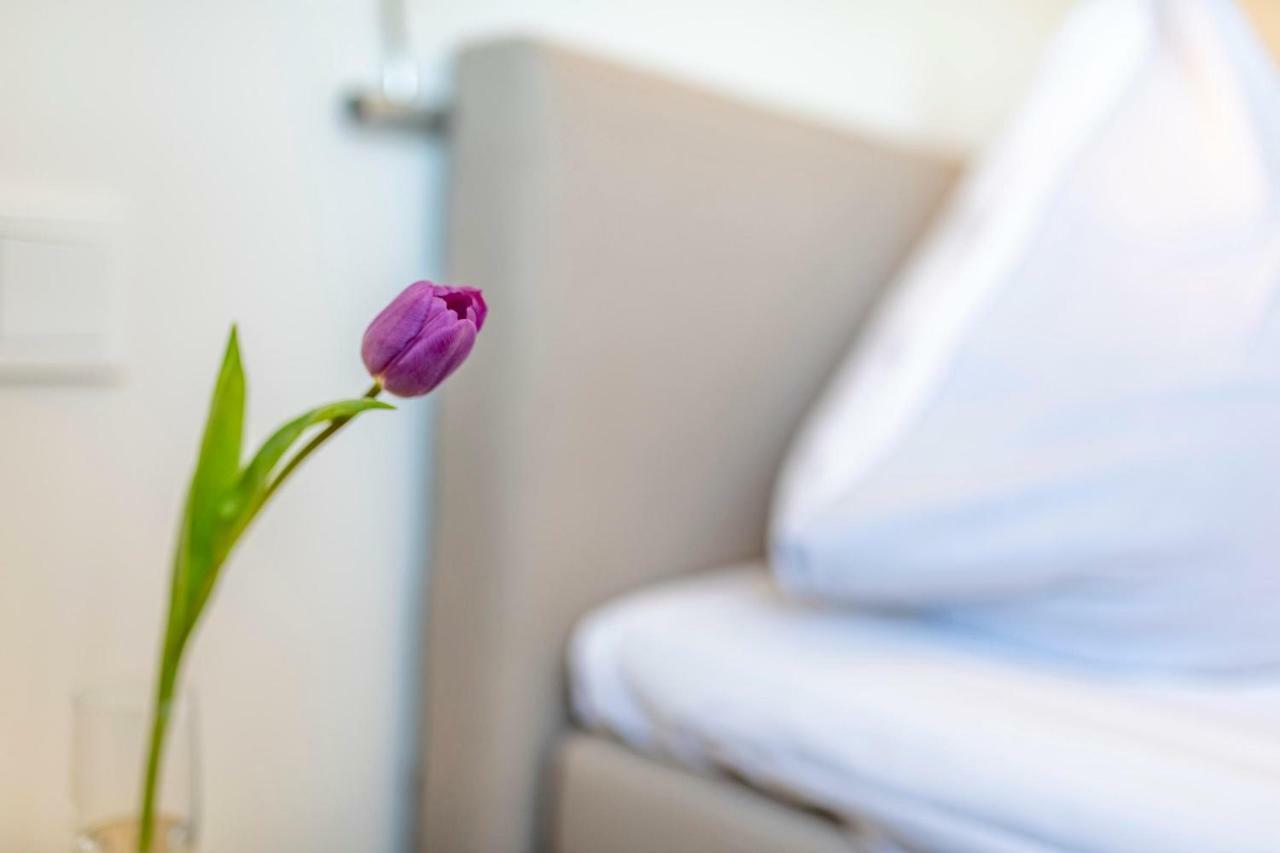 Treibgut Apartment Олпениц Екстериор снимка